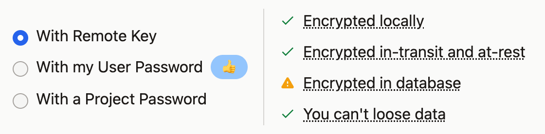 A security options interface showing encryption methods: remote key, user password, project password, and their encryption statuses.